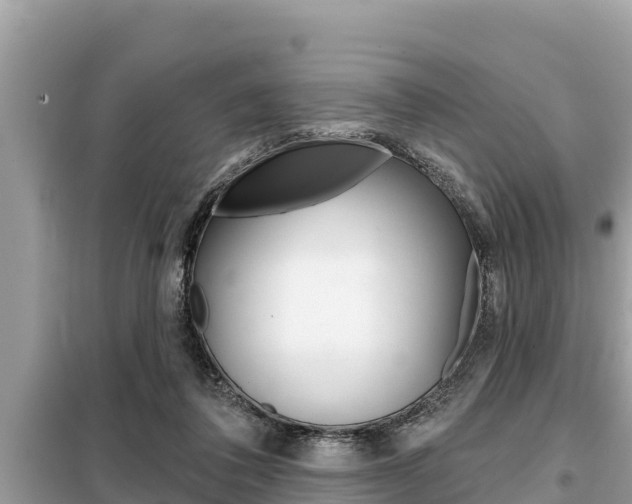 X0000099300308200805020803
