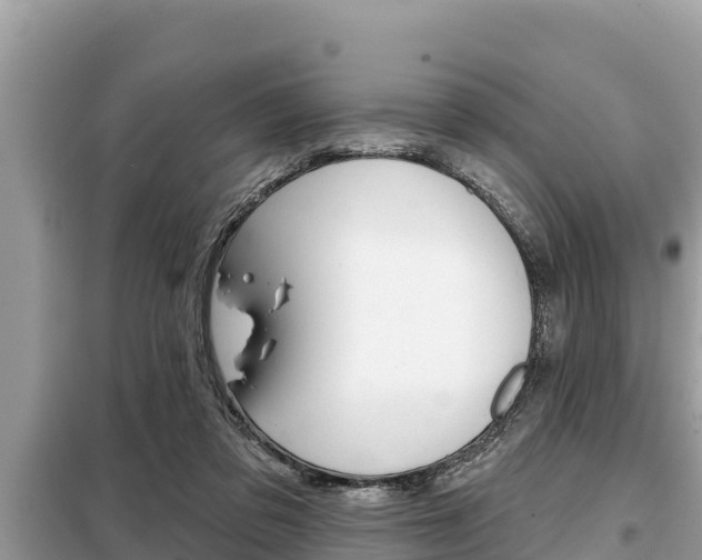 X0000099300309200805020803