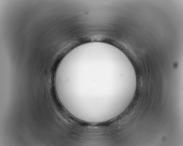 X0000099300311200805020803