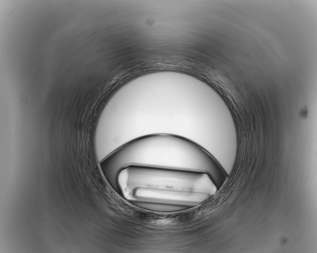 X0000099300312200805020803
