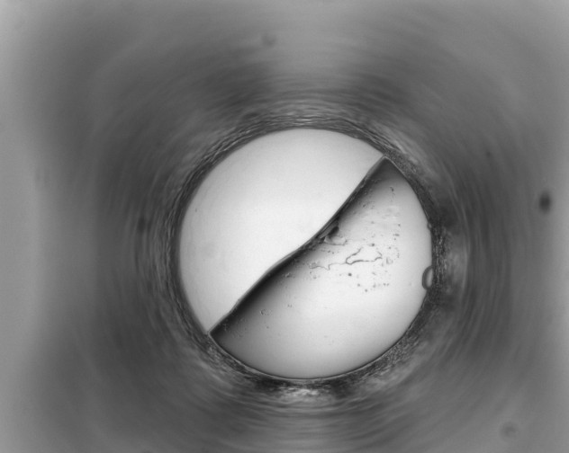 X0000099300315200805020803