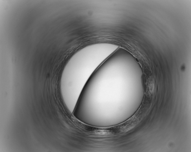 X0000099300316200805020803