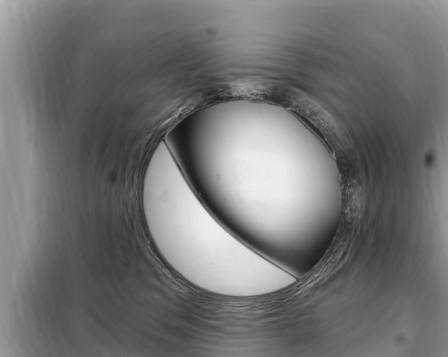 X0000099300329200805020803