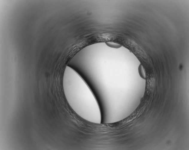 X0000099300331200805020803