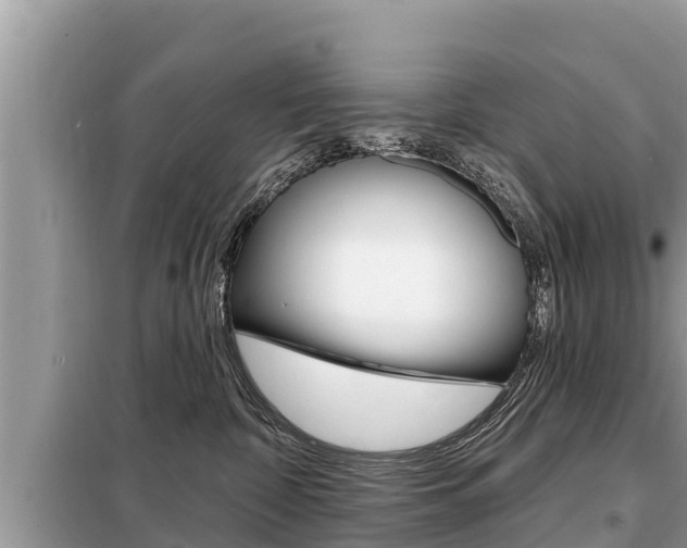 X0000099300332200805020803