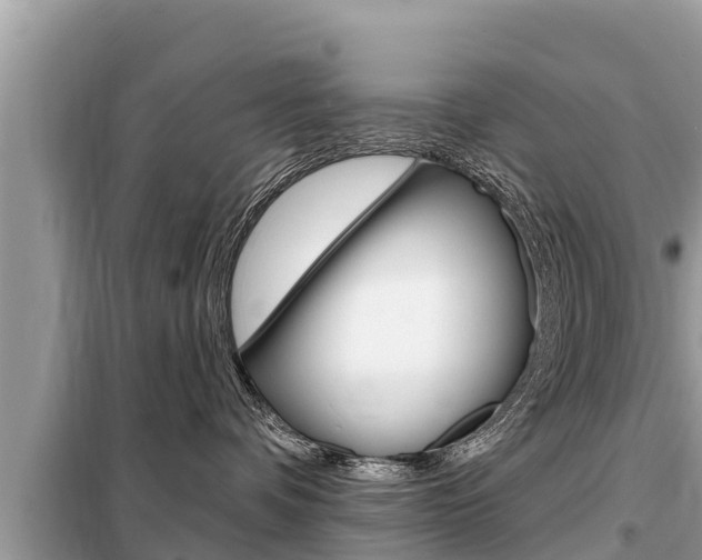 X0000099300336200805020803