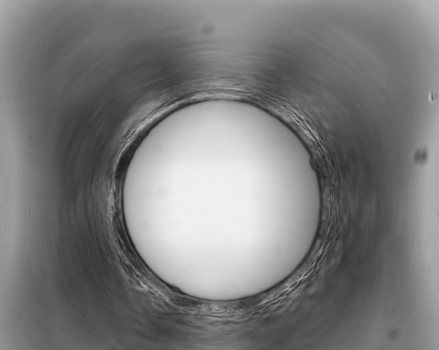 X0000099300338200805020802