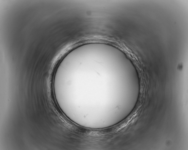 X0000099300341200805020802