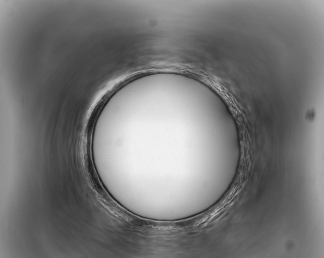 X0000099300342200805020802