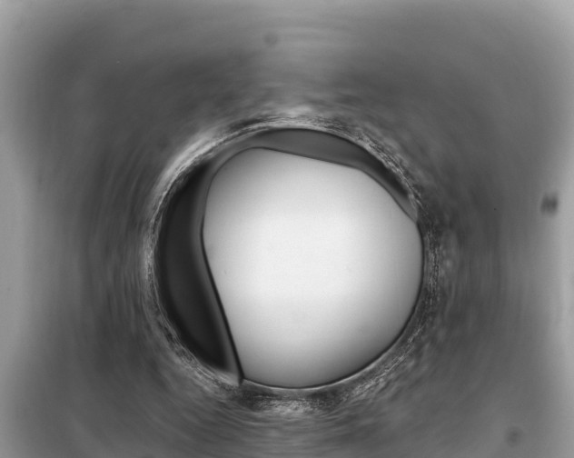 X0000099300344200805020802