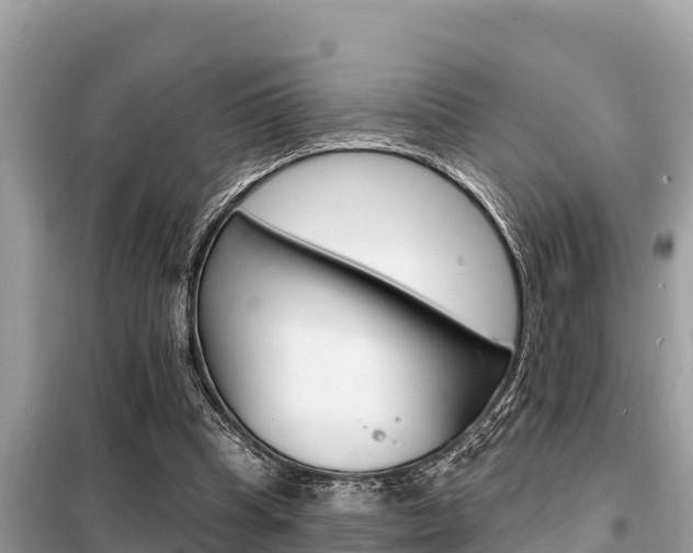 X0000099300345200805020802
