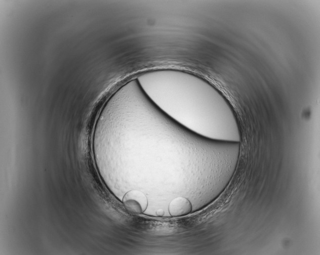 X0000099300347200805020802