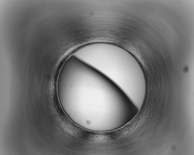 X0000099300348200805020802