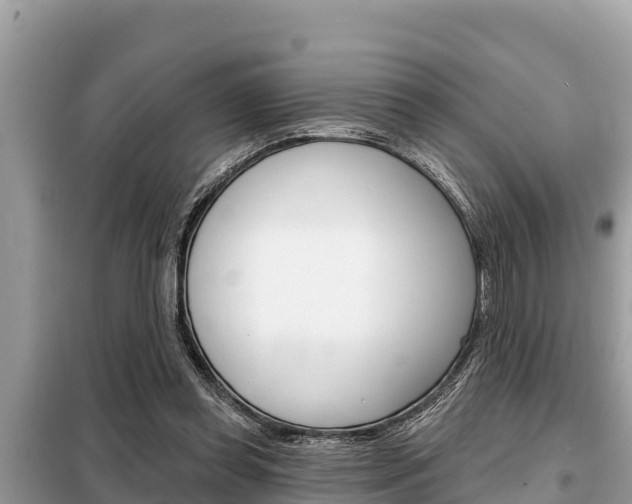 X0000099300349200805020802