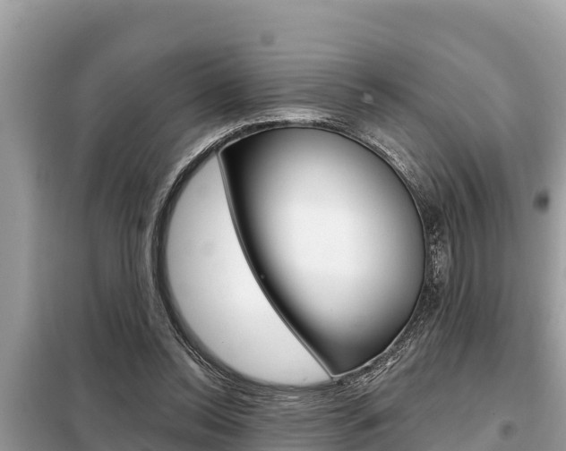 X0000099300350200805020802