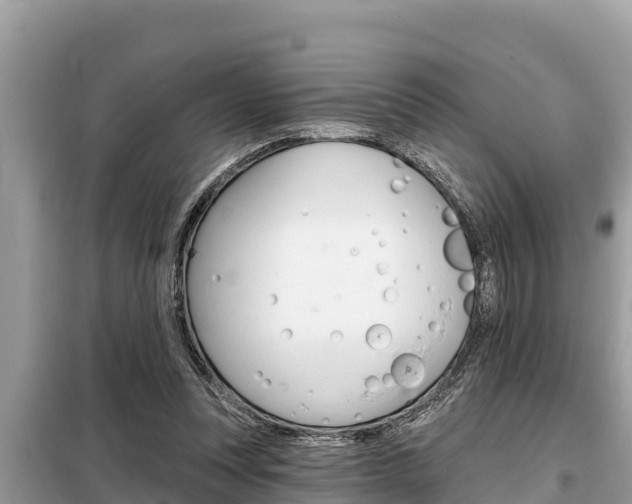 X0000099300351200805020802