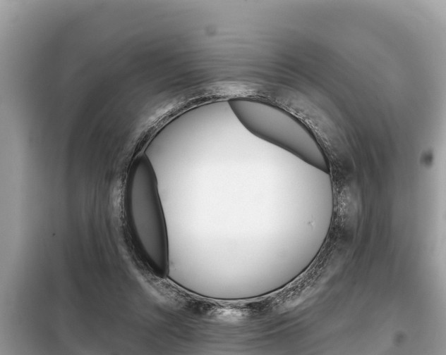 X0000099300352200805020802
