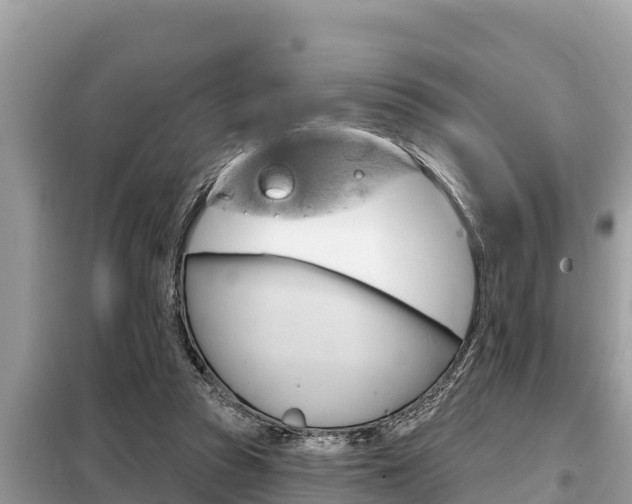 X0000099300353200805020802