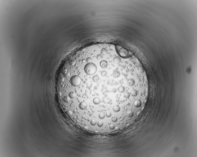 X0000099300354200805020802
