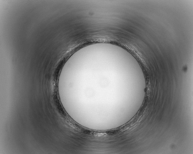 X0000099300355200805020802
