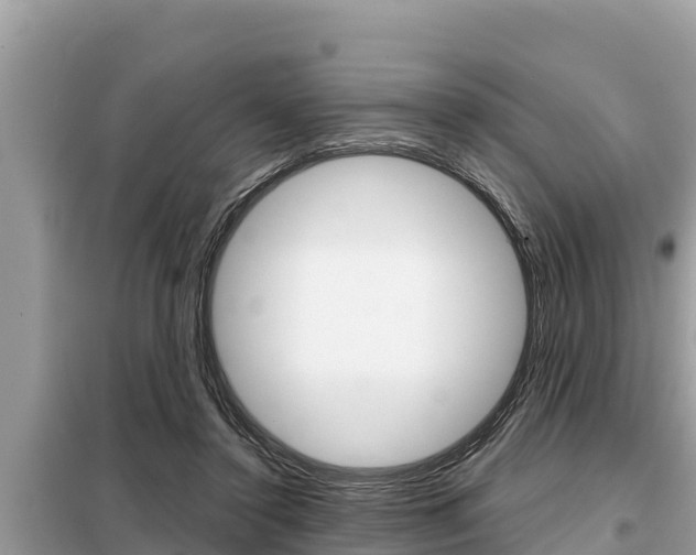 X0000099300356200805020802