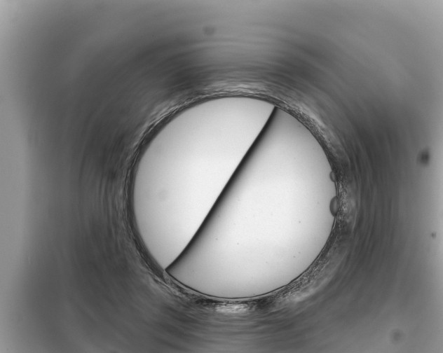 X0000099300357200805020802