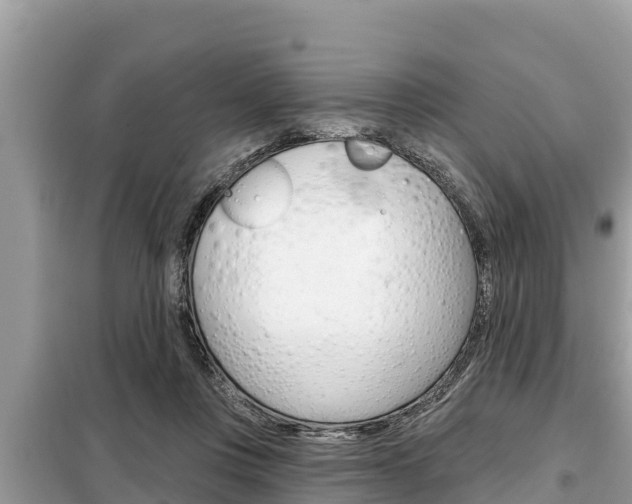 X0000099300359200805020802
