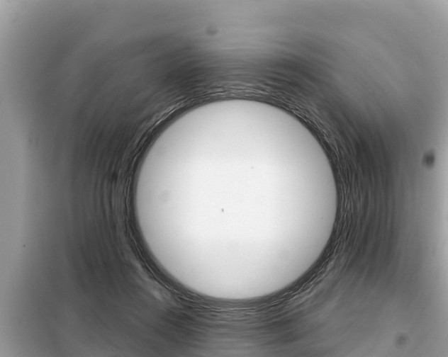 X0000099300360200805020802