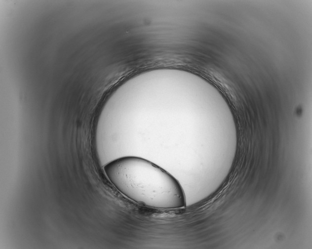 X0000099300362200805020802