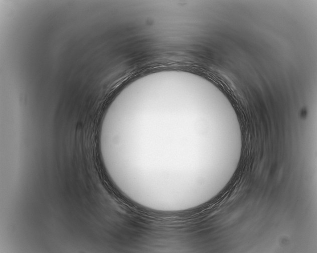 X0000099300364200805020803