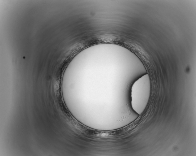 X0000099300365200805020803