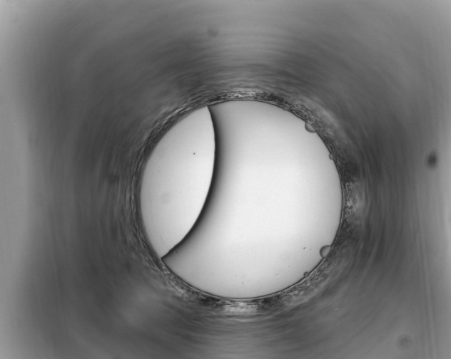 X0000099300369200805020803