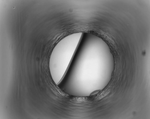 X0000099300384200805020803