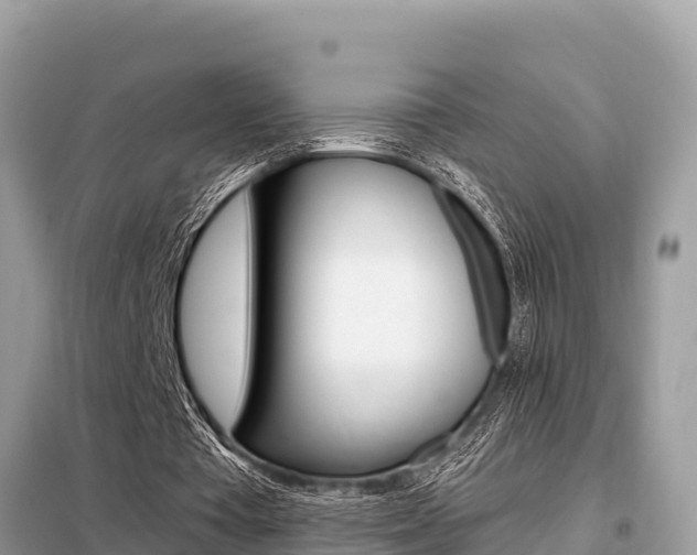 X0000099300385200805020802