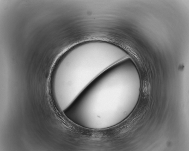 X0000099300388200805020802