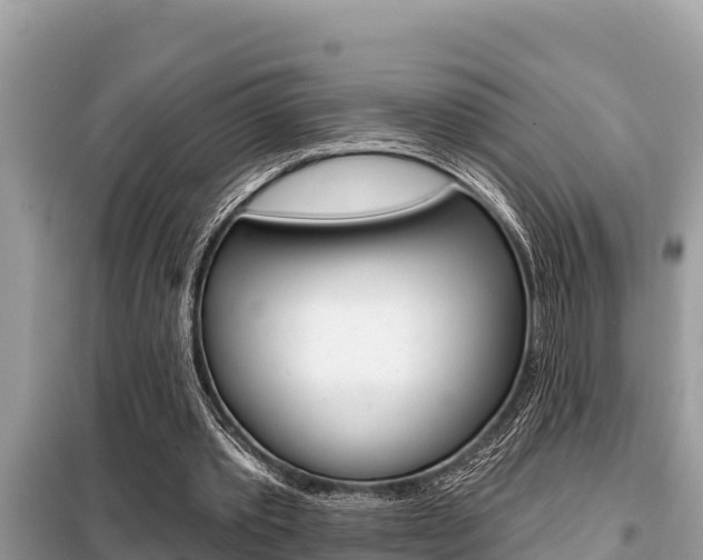 X0000099300389200805020802