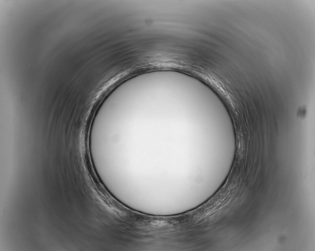 X0000099300390200805020802