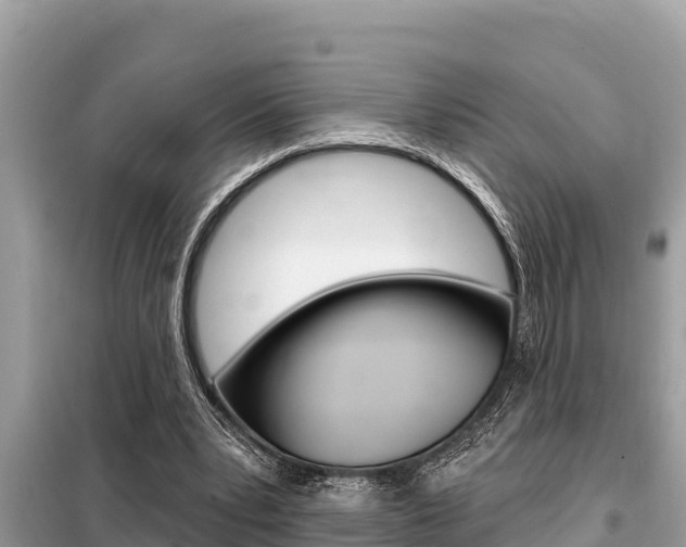 X0000099300391200805020802