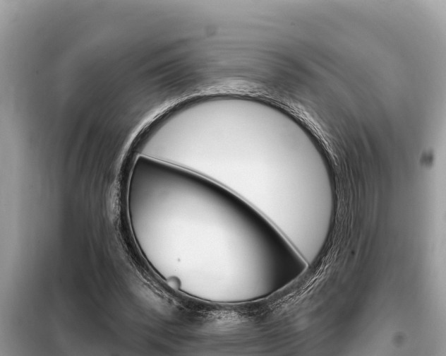 X0000099300392200805020802