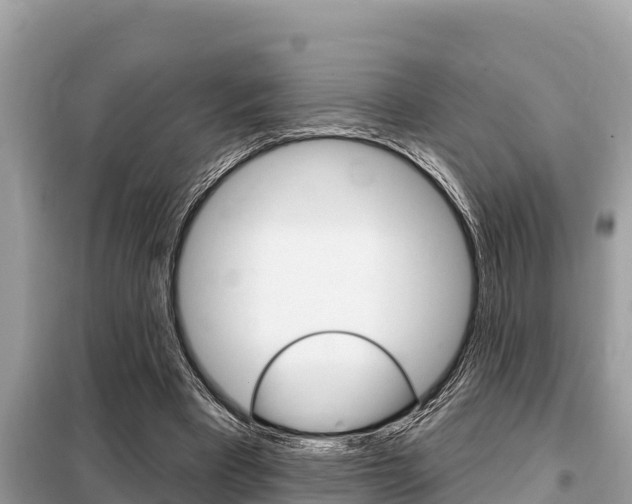 X0000099300393200805020802