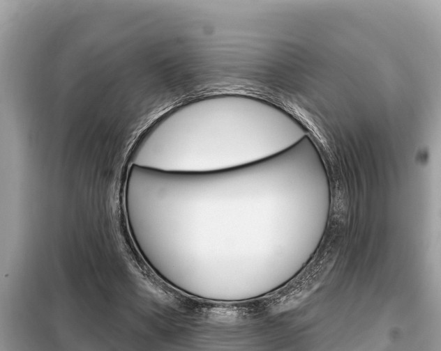 X0000099300394200805020802
