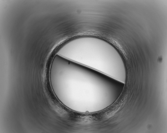 X0000099300396200805020802
