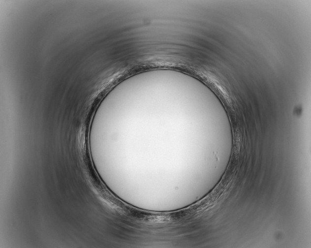 X0000099300398200805020802
