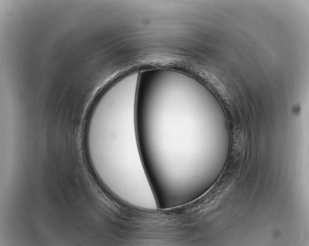 X0000099300399200805020802