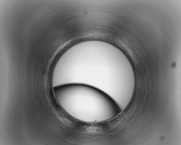 X0000099300400200805020802