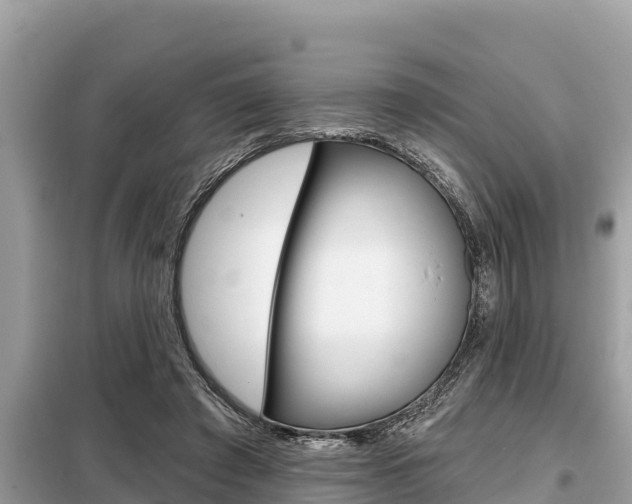 X0000099300401200805020802