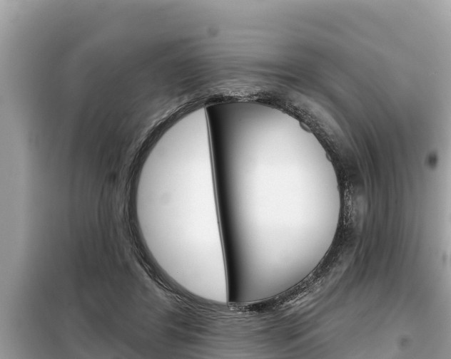X0000099300404200805020802