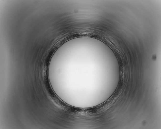X0000099300408200805020802