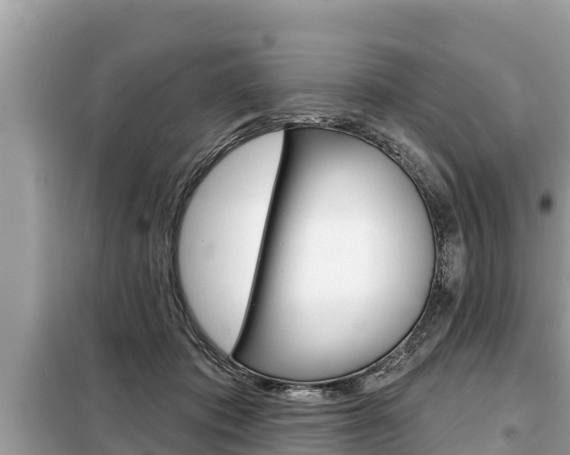 X0000099300413200805020802