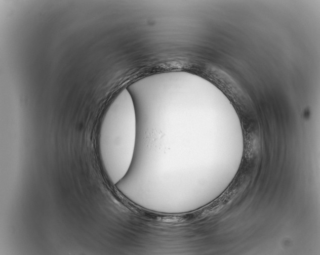 X0000099300414200805020802